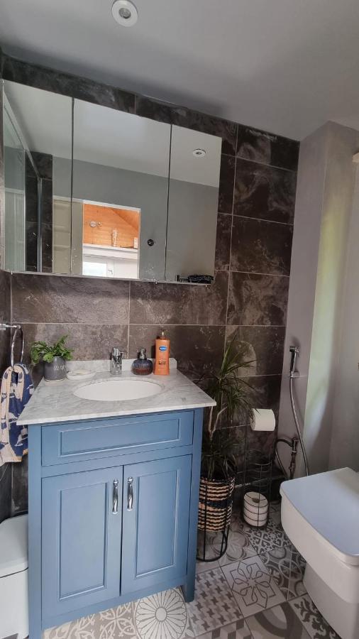 Glebe House, Private Entrance, Free Parking On Drive, Self Check In, Netflix Bed and Breakfast Άσφορντ Εξωτερικό φωτογραφία